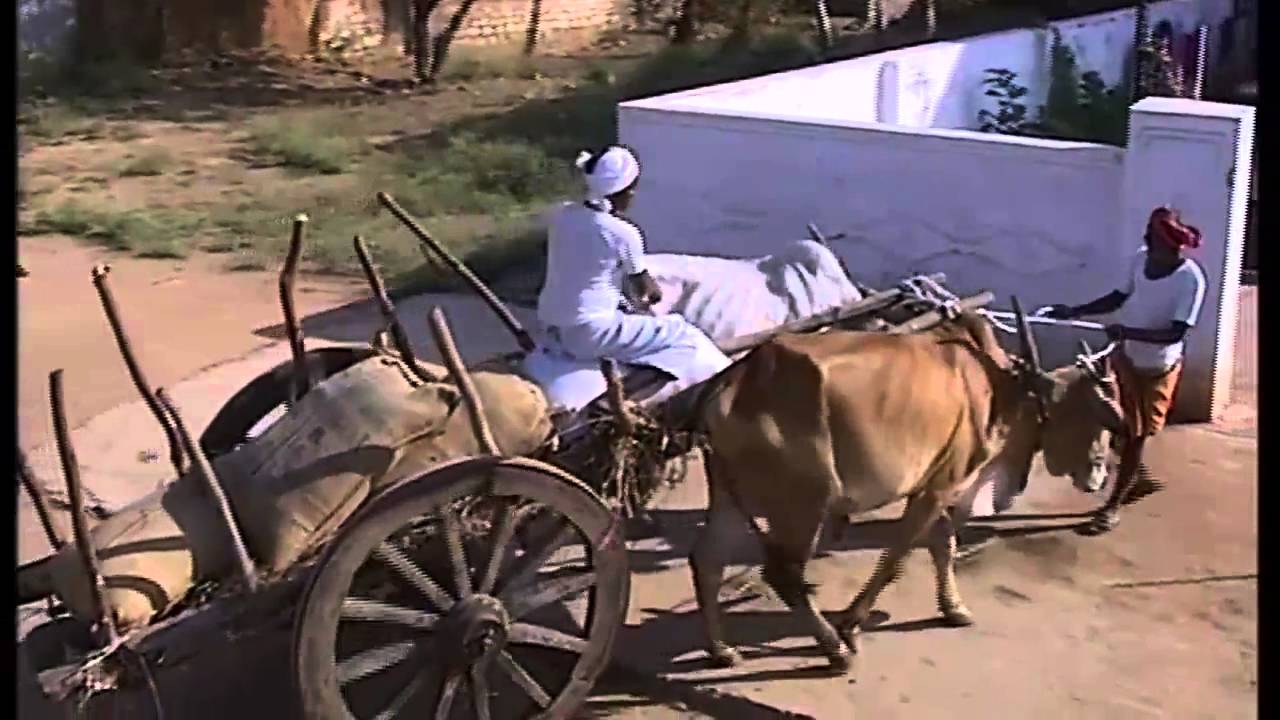 INDIONTV  Sankranthi Wishes | sankranthi Sambaralu | makara sankranti | Bhogi