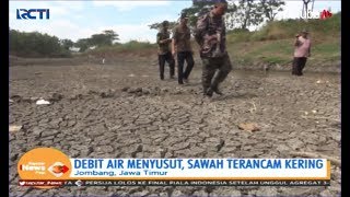 Download lagu Jombang Dilanda Kemarau Persawahan Terancam Kering SIP 07 07 Jombang Dilanda Kemarau Persawahan Terancam Kering SIP 07 07