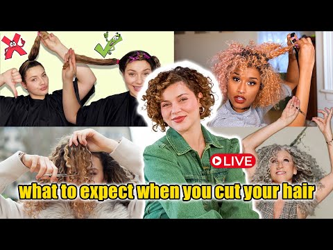 THE BIGGEST THINGS YOU NEED TO CONSIDER BEFORE CUTTING YOUR CURLY HAIR (live q&a with a hairstylist)