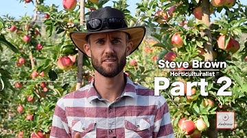 Picking Ambrosia Apples Like a Pro: Part 2 - with Steve Brown (Part 1)