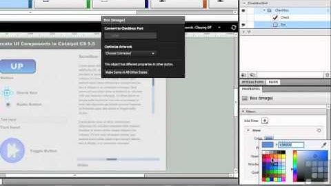 Flash Catalyst CS5.5 - Creating Check Boxes and radio buttons