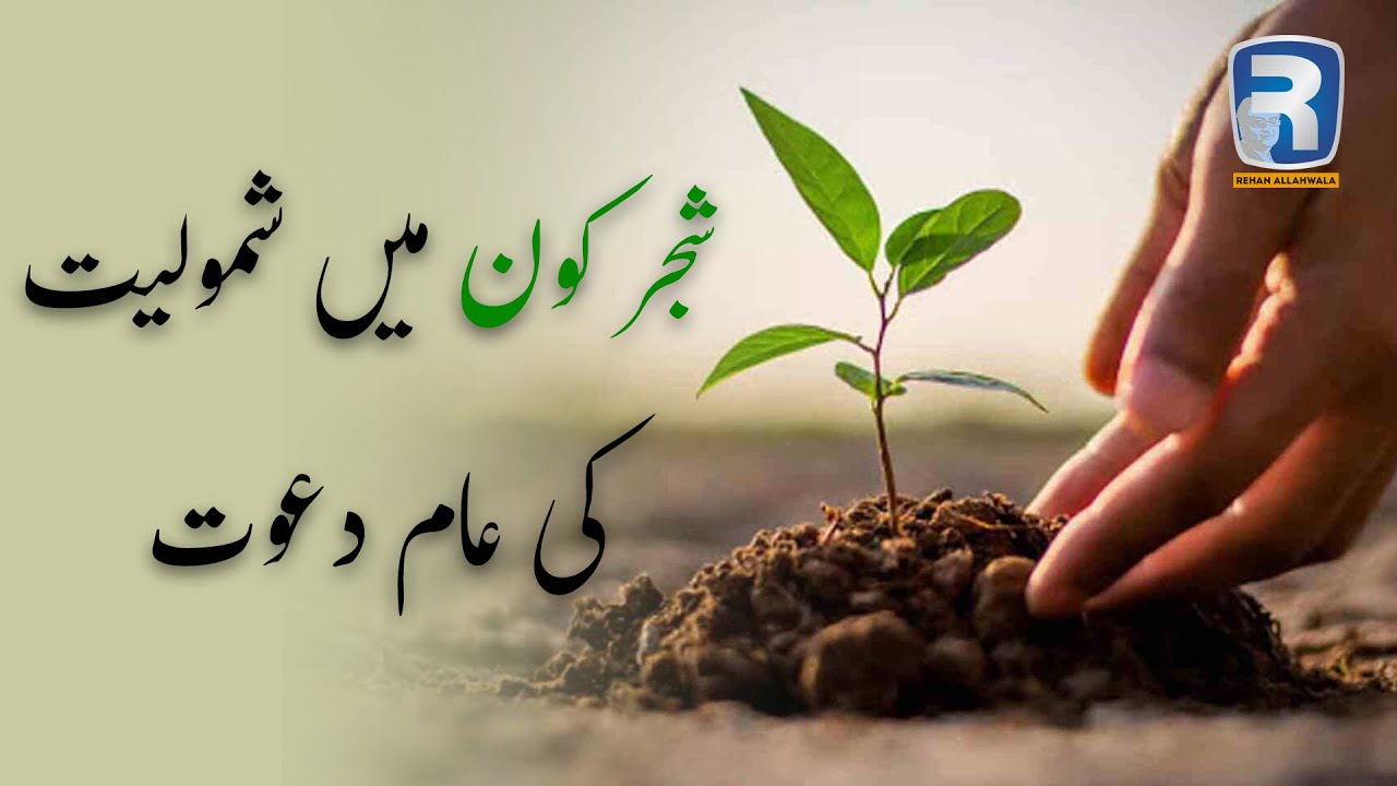 Thumbnail for شجر کون میں شمولیت کی عام دعوت by Rehan Allahwala