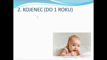Jaké jsou fáze vývoje týmu?