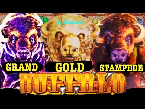 Buffalo Thunder Resort & Casino Loyalty Program - Urcomped Casino