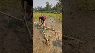 Big Fish Jumping From Net Amazing Scene
