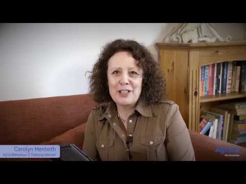 Behaviourist Advice |