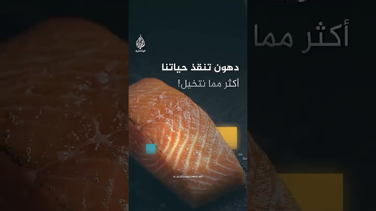 توجد أساسا في الأسماك.. لماذا تحتاج أجسامنا للدهون الصحية؟