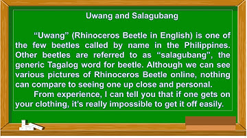 ENGLISH Q1 WEEK 3 DAY 4; LEARNING TASK 4