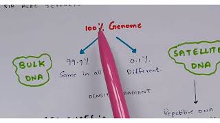 DNA fingerprinting | Step by step procedure | Example | Bio science