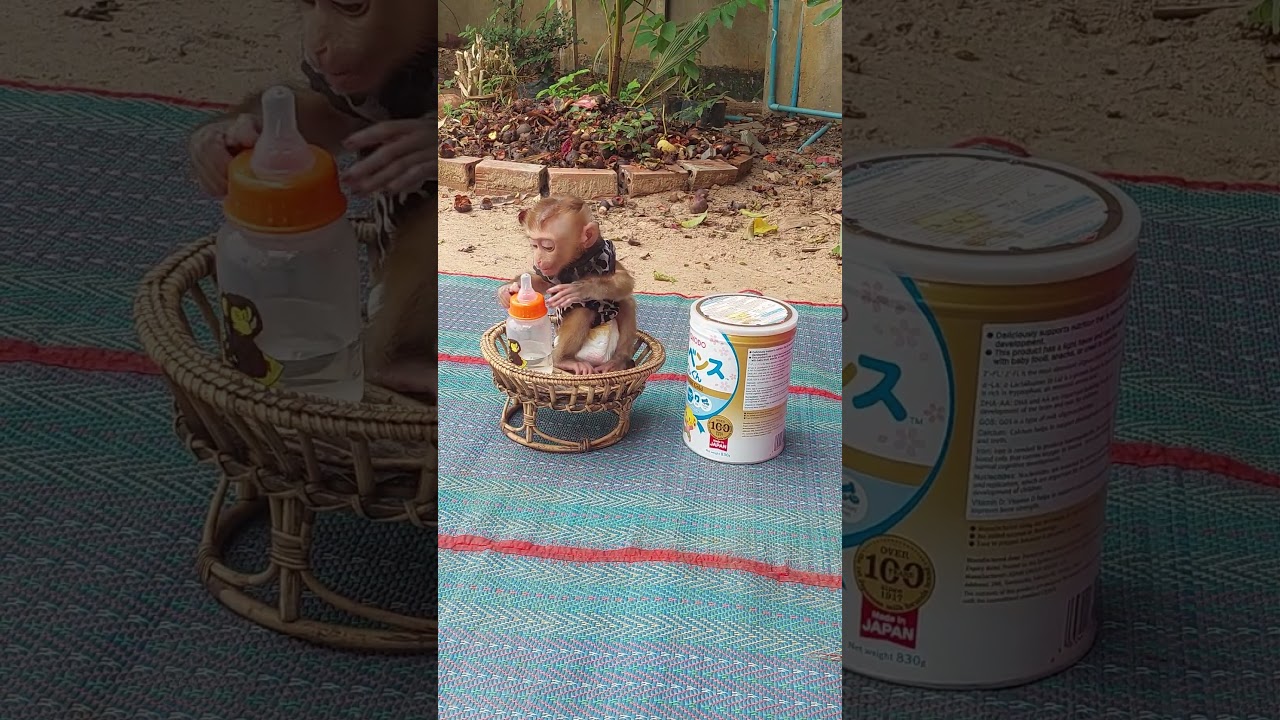 Really Good Behavior When He Wait Mom Mix Milk 