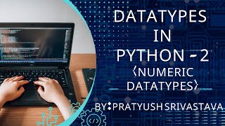 What are Numeric Datatypes?