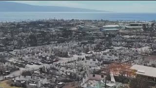 Hawaii officials face criticism over Maui wildfires | FOX 5 News