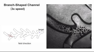 Steering Micro-Robotic Swarm by Dynamic Actuating Fields
