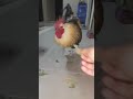 Youtube Thumbnail title