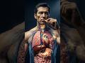 What Happens Inside Your Body When You Take a Supplement?