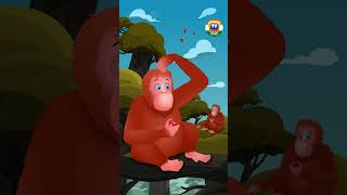 ওরাঙ্গুটান গান (Orangutan Song) #ChuChuTV #BanglaRhymes #Kidssongs #Learningsongs