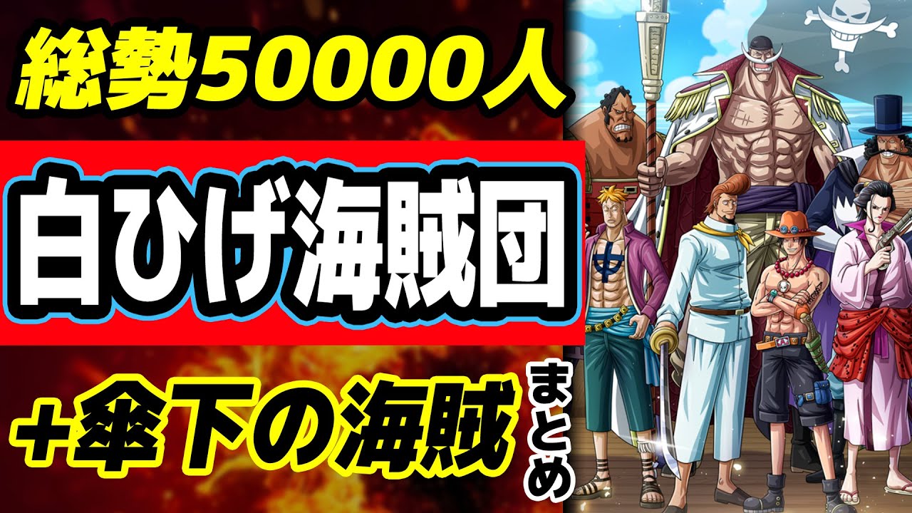 ワンピース 人数 隊長 メンバーの能力を紹介 白ひげ海賊団まとめ One Piece Youtube