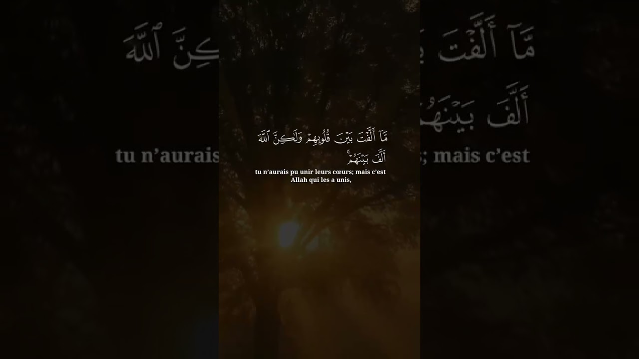 ( وَإِن يُرِيدُوا أَن يَخْدَعُوكَ فَإِنَّ حَسْبَكَ اللَّهُ )
