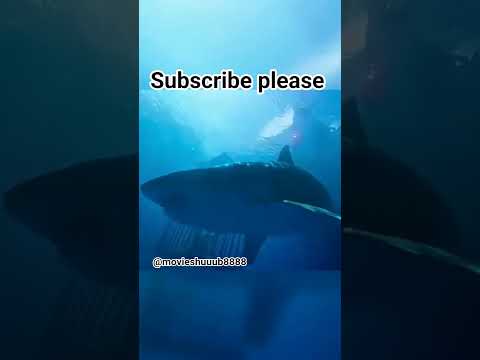 на мою подругу напала акула! #recommended #shorts