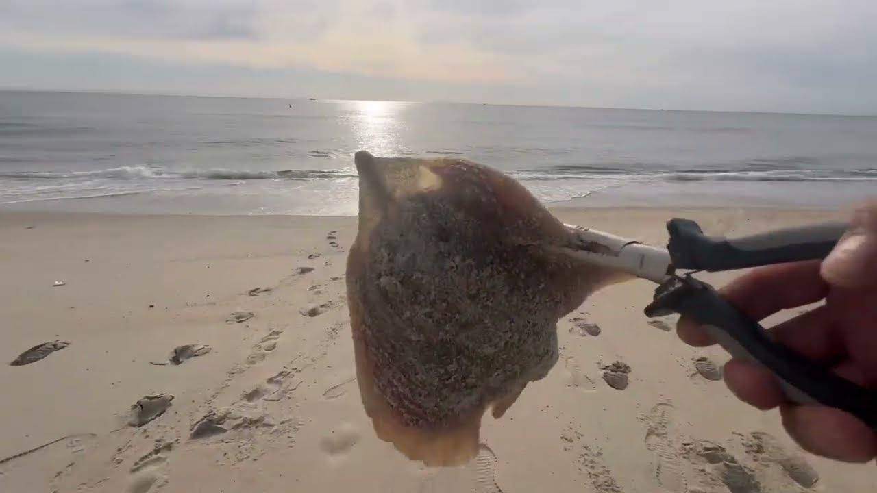 deep sea fishing sandy hook nj Beach Fishing Sandy Hook New Jersey 6 / 2 / 24
