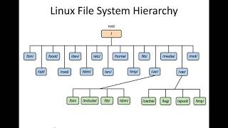 Week 2 part 4: Linux - DevOps & Cloud Infrastructure