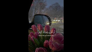 سورة الشعراء🌷|| أحمد النَّفيس