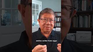 Misconceptions about Protein