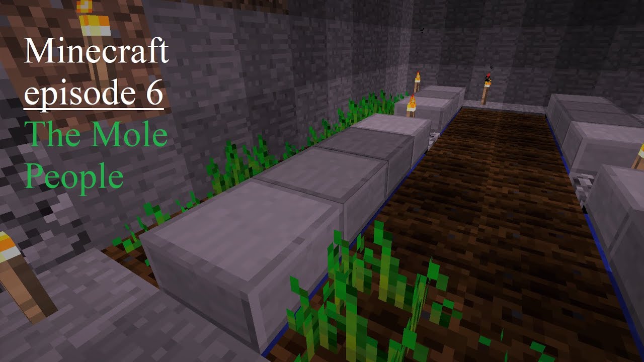 Minecraft ep. 6 - The Mole People - I begin life in the walls as a mole person in this episode of minecraft

made another fucky-wucky at the end there, but nothing really happened other than my gr