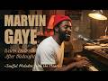 Chicago Soul | Marvin Gaye Inspired 1970s Soul – Warm Embrace After Midnight [Unreleased Album]