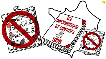 Quels pays utilisent les statistiques ethniques ?