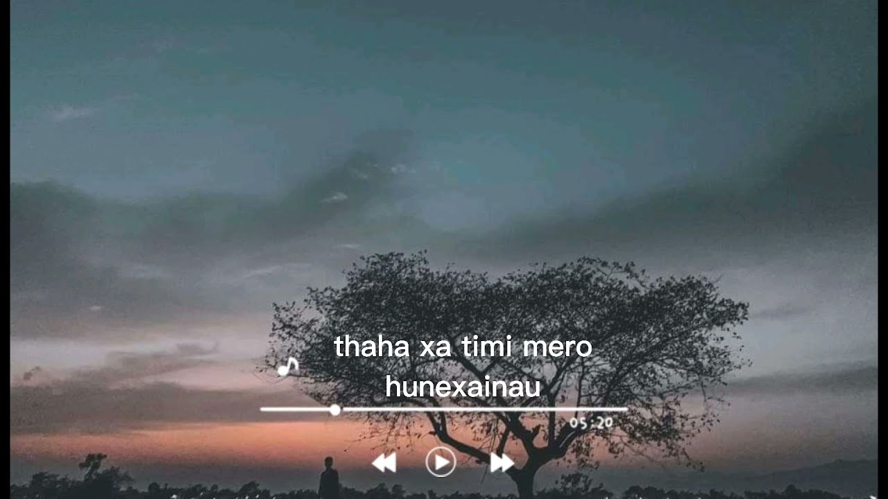 Sunidau - Prasid Pun lyrics video (raw song)