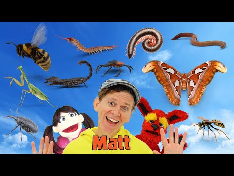 Bugs Part 2 | What Do You See? Song  | Find It Version | Dream English Kids