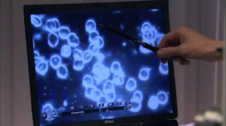 How Structured Water Effects Blood Sample
