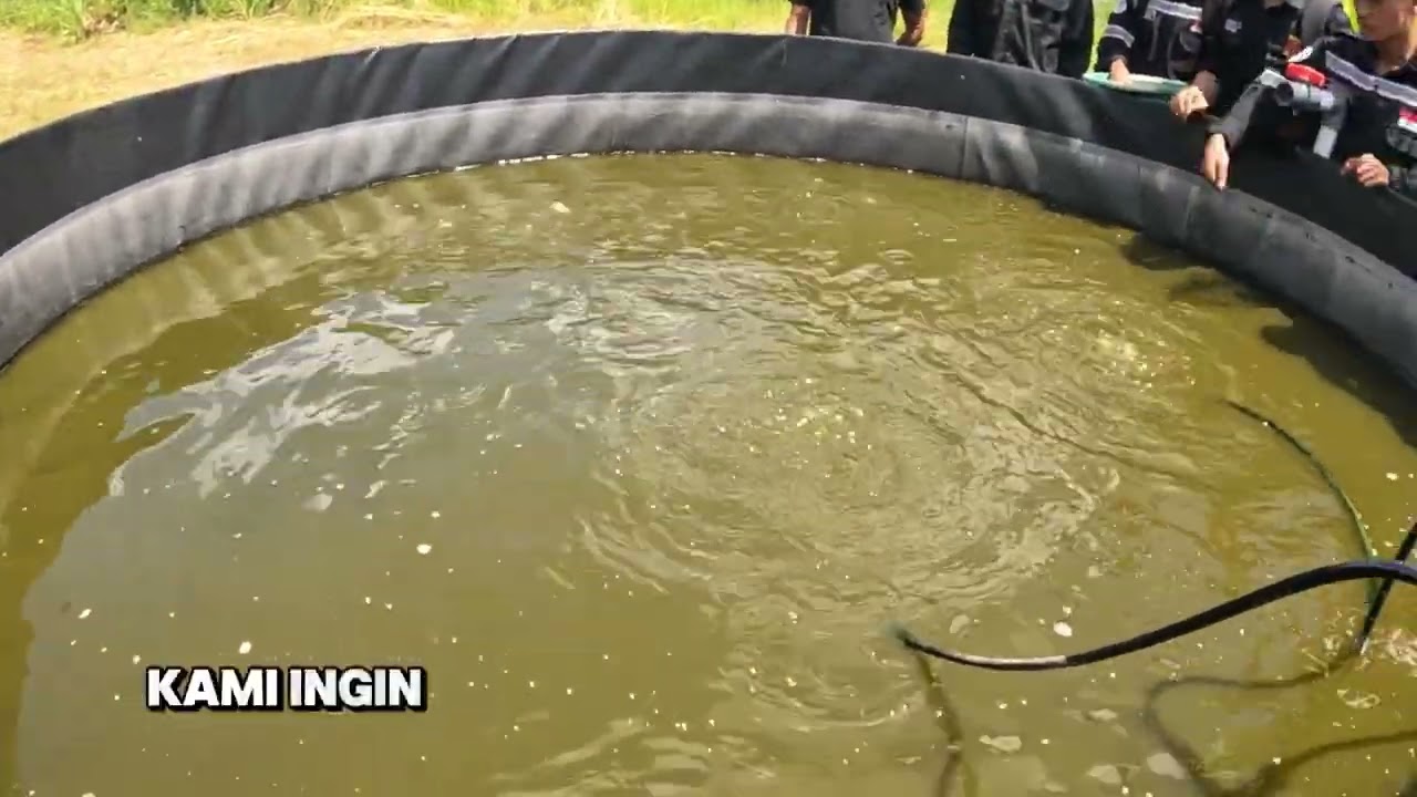 INNOVILLAGE 2025 -- SI-PINTAR -- Politeknik Sinar Mas Berau Coal -- Pegat Bukur -- Kalimantan Timur