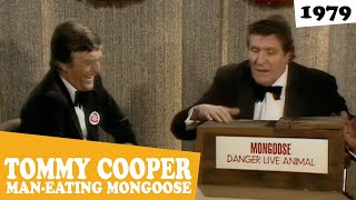 Tommy Cooper - Dangerous Animal - Parkinson, 1979