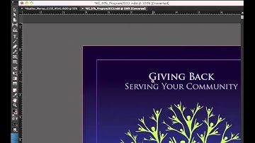 How to fix "blurry" images in InDesign using Display Performance