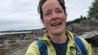 Exploring the Rocky Intertidal Zone