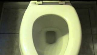 Jacuzzi - Era Toilet