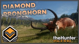 Diamond Pronghorn with the Long Bow | Silver Ridge Peaks | theHunter: Call of the Wild screenshot 3