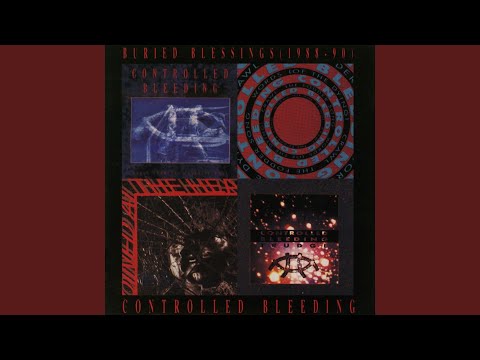 Controlled Bleeding — Kiss the Hand of Genocide