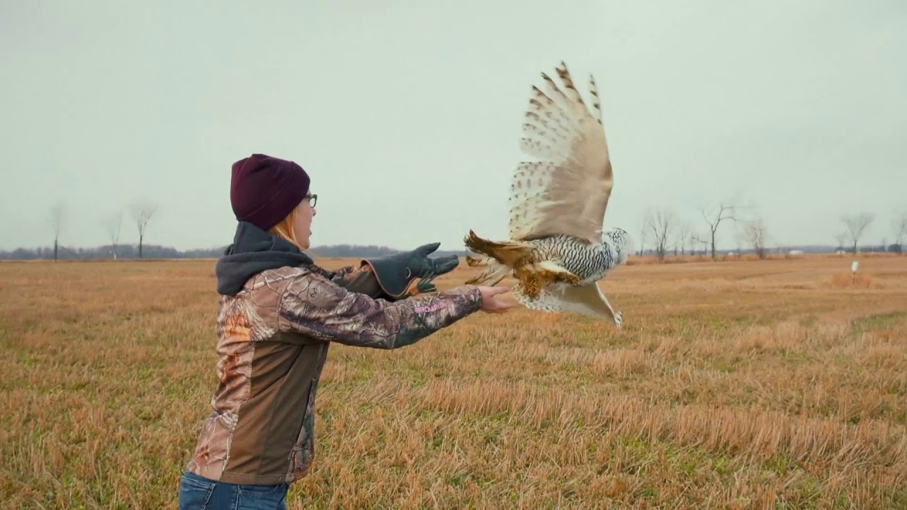 Sony Pictures y la fundación Naciones unidas lanzan el festival Picture This