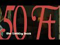 The Bobby Lees - 50 Ft