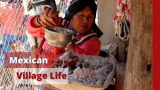 Mexican Village Life: Making Tortillas | Epic Missionary Adventures Ep.36