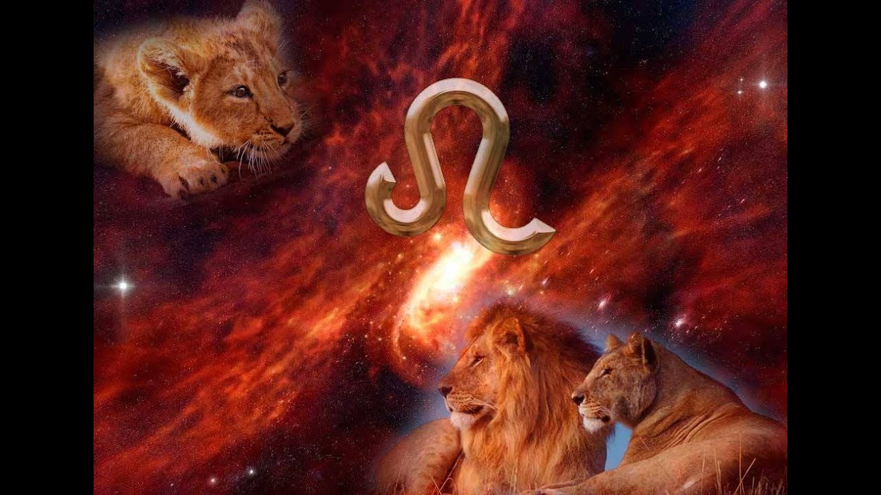 Гороскоп льва на 15. Знак зодиака Лев. Лев знак зодиака символ. Фотосессия знак зодиака Лев. Красивый знак зодиака Лев.
