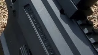 asg cz evo overview