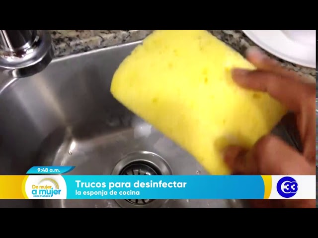 Qué tan durables y limpias son tus esponjas de cocina? - FOMAN