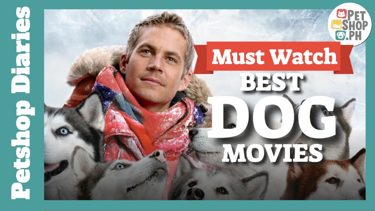 BACK ON THE SOCIETY GOOGLE DRIVE