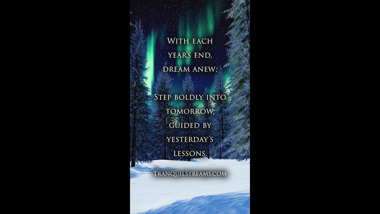 Aurora Borealis Over Snowy Pine Forest: Year-End Reflection and Inspiration