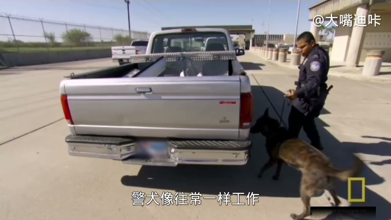 皮卡车走私军火 警犬又破了一个大案 掀开塑料扳吓警察一跳 Youtube 皮卡车走私军火 警犬又破了一个大案 掀开塑料扳吓警察一跳 Youtube