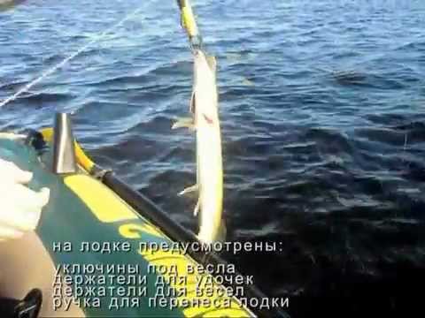 рыбалка на 1 местной надувной лодке рыбалка на 1 местной надувной лодке